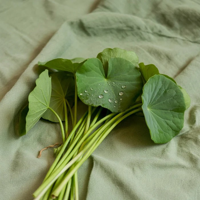 Centella Asiatica